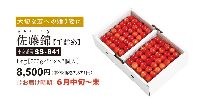 山形のさくらんぼ　佐藤錦　手詰め 2024