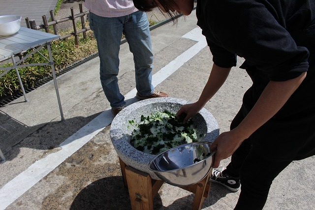 煎餅工房さがえ屋　餅つき　よもぎ投入！