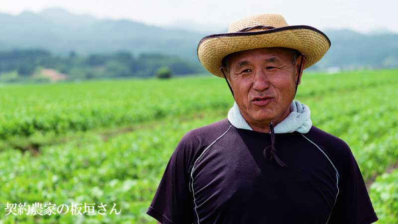 だだちゃ豆契約農家の板垣さん