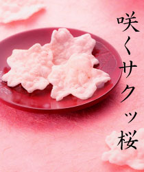 咲くサクッ桜