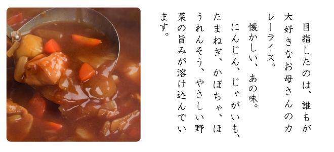 カレーせんべい　目指したのは誰もが大好きお母さんのカレー　YK50