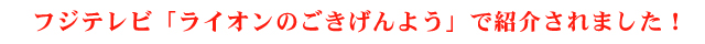 フジテレビ「ライオンのごきげんよう」で紹介されました