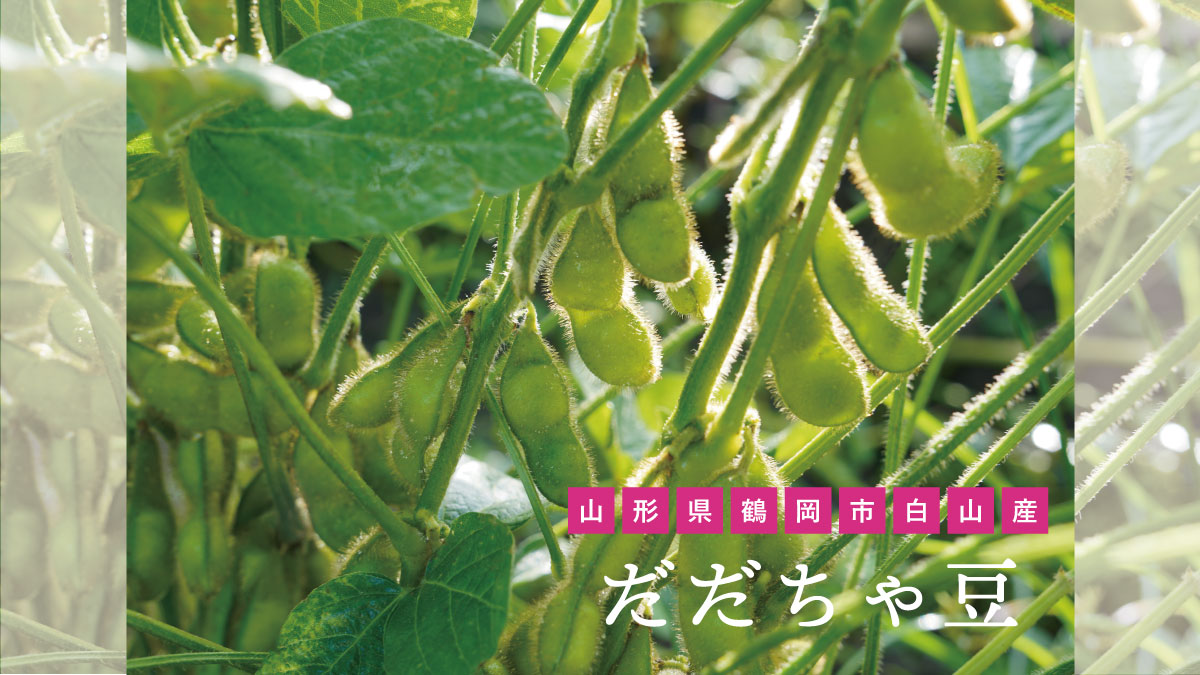 だだちゃ豆2025