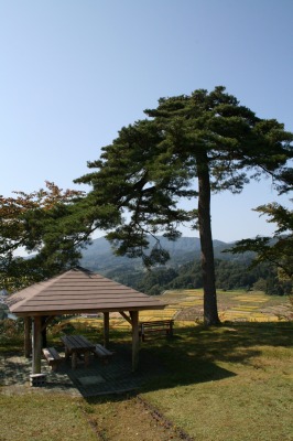 一本松公園