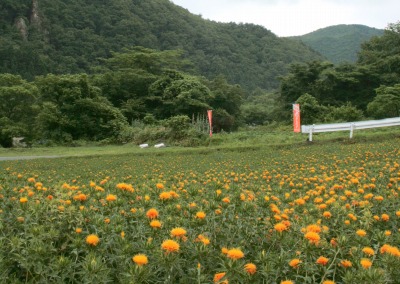 まゆはきを 俤 おもかげ にして 紅の花 公式 せんべい あられの専門店 煎餅工房 山形 さがえ屋のおせんべい詰合せ