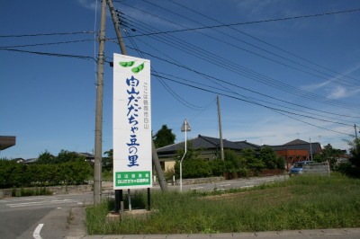 だだちゃ豆の名産地白山地区