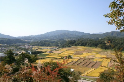 山形県 朝日町 椹平 くぬぎだいら の扇状棚田 公式 せんべい あられの専門店 煎餅工房 山形 さがえ屋のおせんべい詰合せ