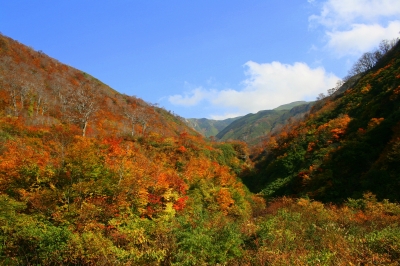 湯殿山よりみる月山方面