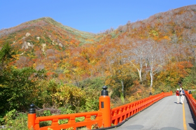 湯殿山紅葉