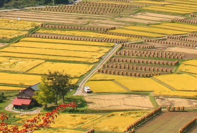 山形県 朝日町 椹平 くぬぎだいら の扇状棚田 公式 せんべい あられの専門店 煎餅工房 山形 さがえ屋のおせんべい詰合せ