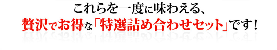٤̣廊롢Ǥʡͤ碌åȡפǤ