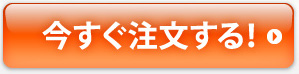 ʸ롪