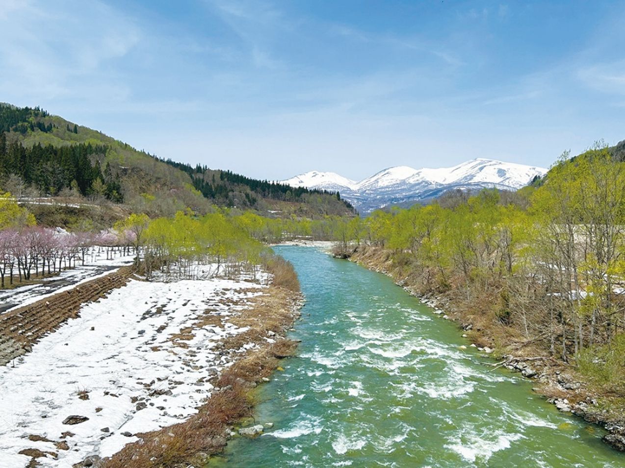 和紙を乾燥させる様子