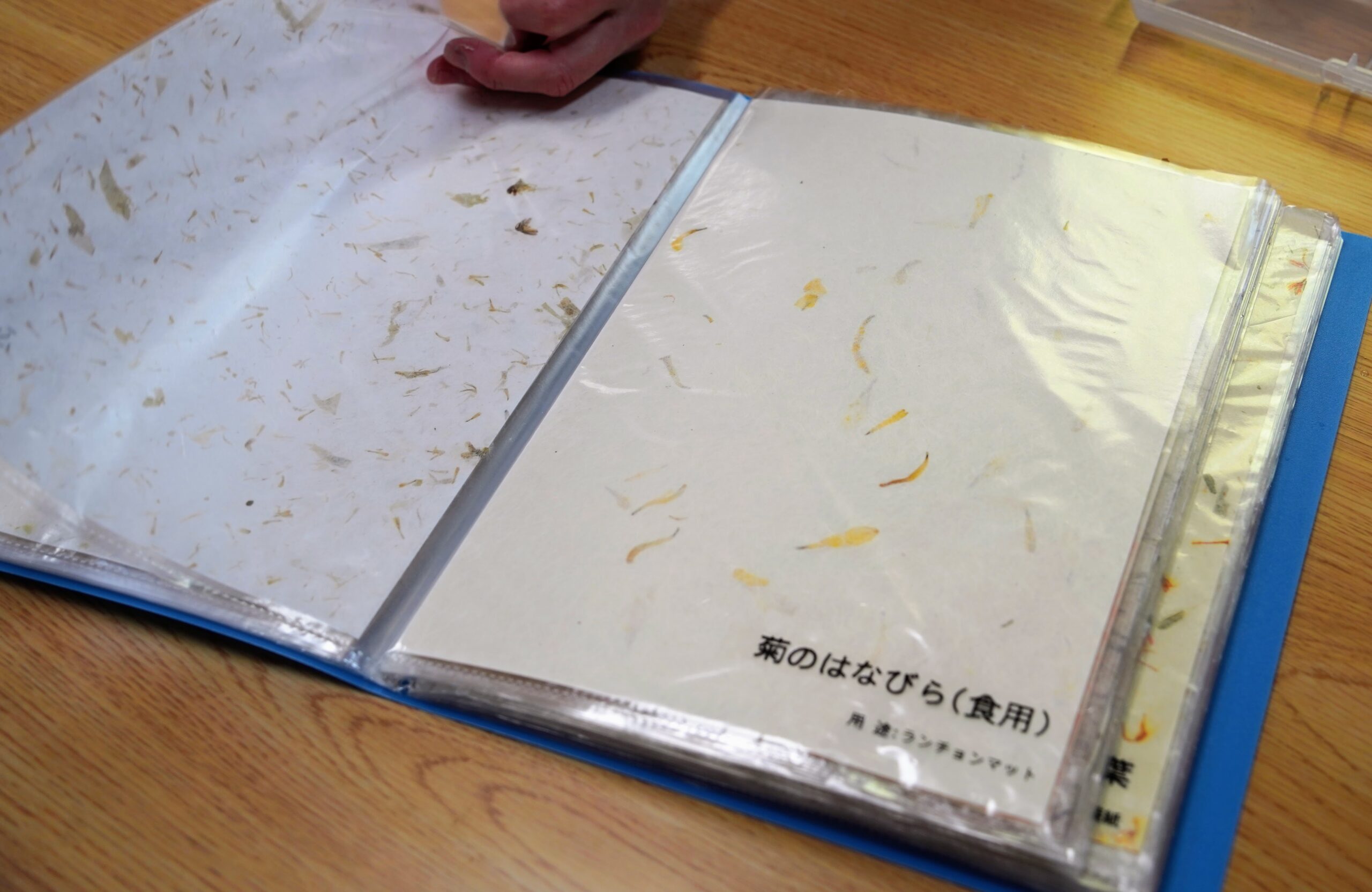 和紙を乾燥させる様子