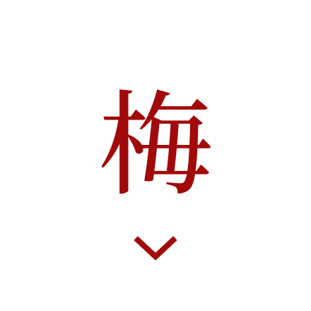 梅